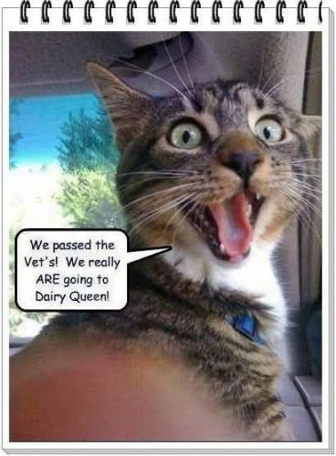 21003579cd176b26151f04263e3f8513