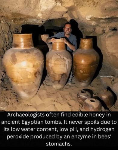 Egyptian honey pots.568px