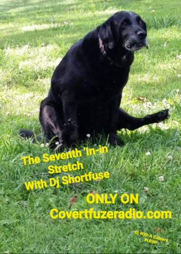 Screenshot_20250128_144533_Gallery