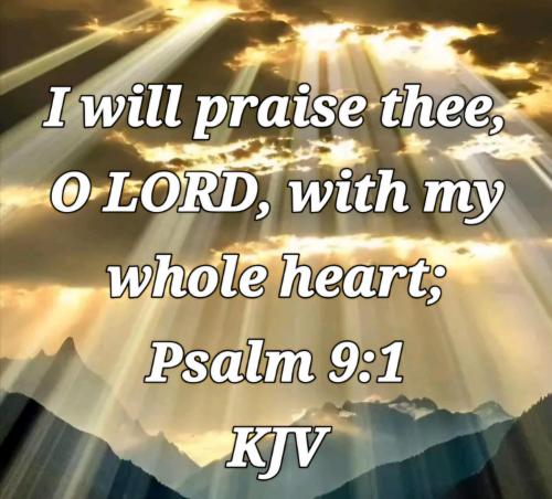 b7661875-adf2-441f-9b66-993bfe56f7e4