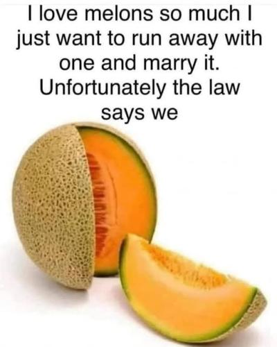 i love melons