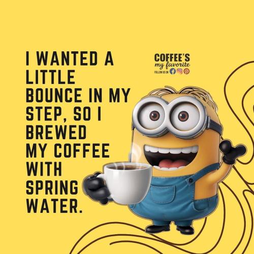 FB_IMG_1736446677632