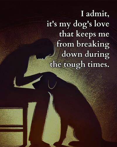 FB_IMG_1736162325334