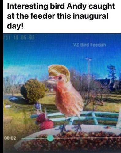 IMG_20250120_155428_081