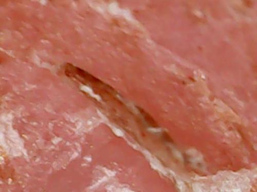 SPINE BASE HYDRO GEL PROGRESS (6)