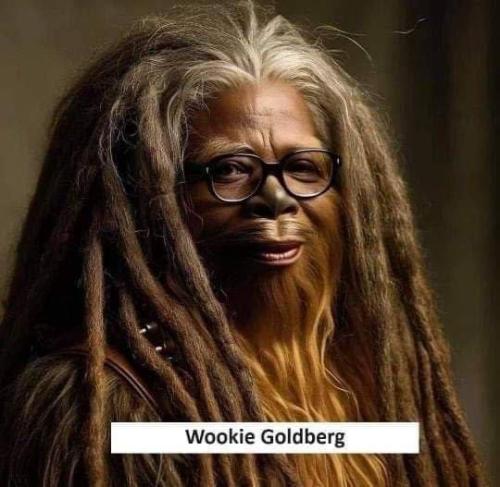 photo_2025-01-14_15-31-57