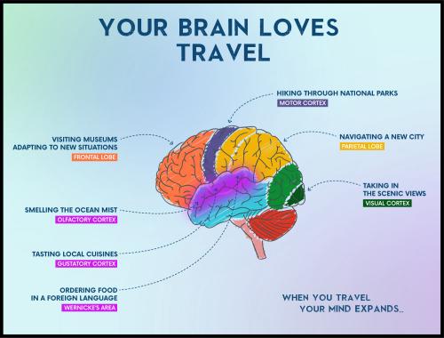 1A-Brain and Travel