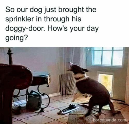 384dceea0e2ef1732e0c10b70c8184ed