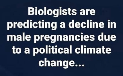 Screenshot 2025-01-31 093419