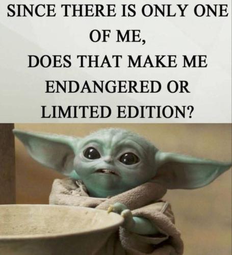 FB_IMG_1737741693730