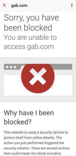 Screenshot_20250121_184658_Wimkin Free Speech Social Media