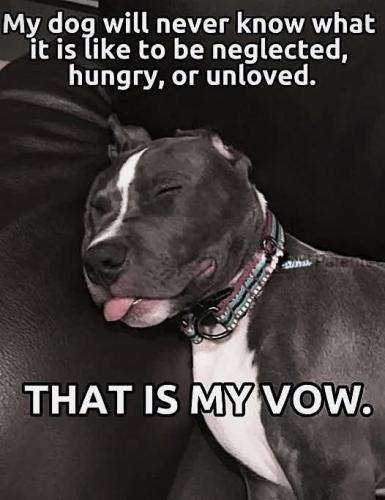 FB_IMG_1737509360049