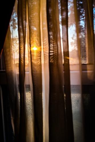 Screenshot_20250128_192220_Gallery