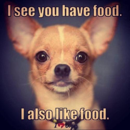 FB_IMG_1737917825903