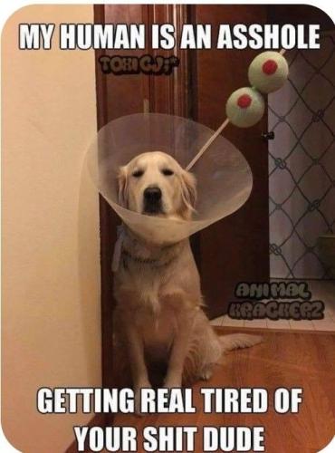 08eb2fab80fbdd5d0d004b24f6fad215