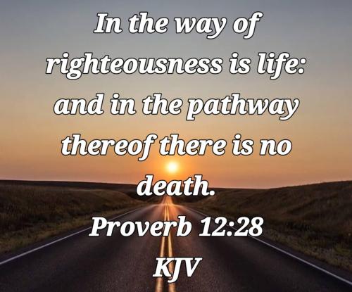 3561ed06-12aa-4b68-92fc-1dcd56a3377c