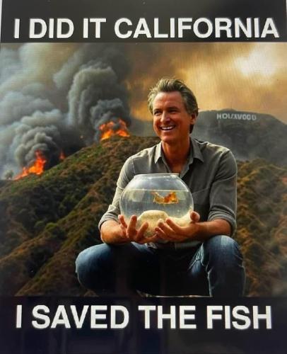 gavin newsom fish