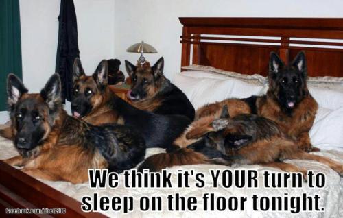 79ed1c156c1ef4958fc97936d83786dd