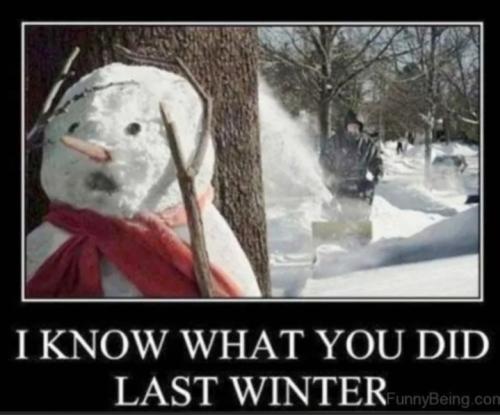 Screenshot_20250103_184645_Gallery