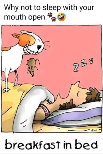 FB_IMG_1736441941757