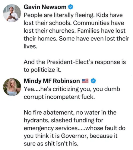 image_2025-01-12_094506663