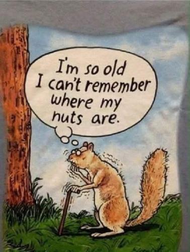 FB_IMG_1736641210918