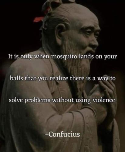 FB_IMG_1737911057974