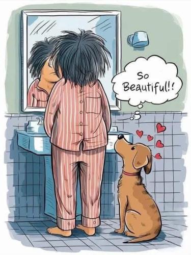 297A23D1-7F4B-4A48-AF2C-3E04A188EB27