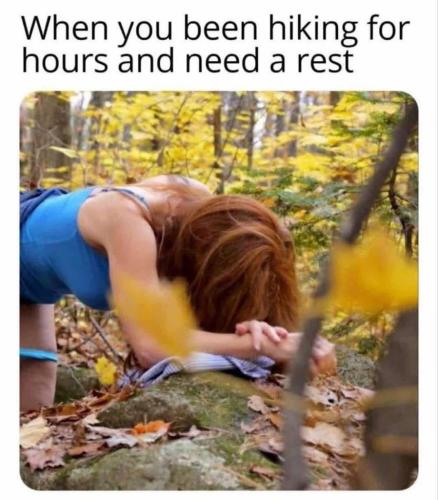 BF3A3CBE-9442-4328-AF00-EF2A6A0F8A23