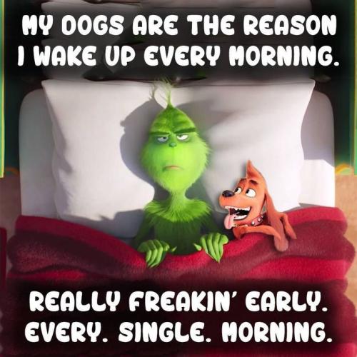 d8f780cee3811d5022a675fa82d1871c