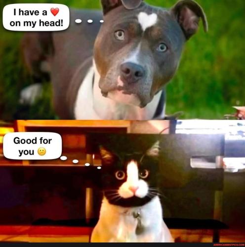 2c3beceba07b3e07640011076d3d926f5334c13fbd13e5aaa10a18614030bf30_1