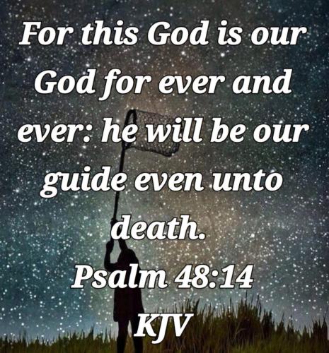 cbf718a8-a4c8-4f82-a95b-9dedb649e20e