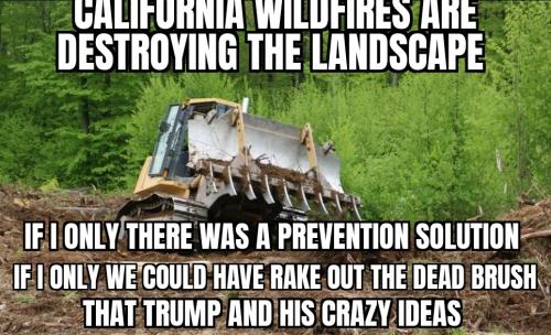 ZomboMeme 08012025065400