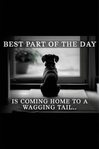 8b023a9bb22d599f06cdeeffba9593f4