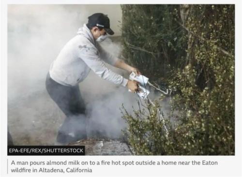 photo_2025-01-11_21-46-31