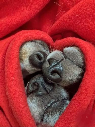 FB_IMG_1738013683378