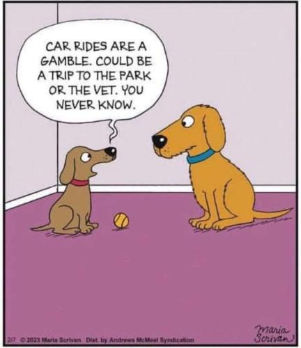 Resized_FB_IMG_1736605599359