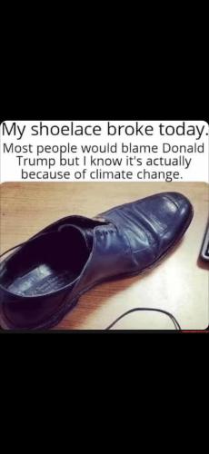 Screenshot_20250103_205212_Gallery