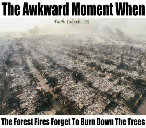 photo_2025-01-16_23-46-33