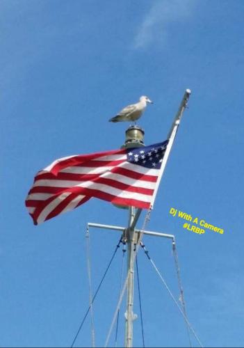 Screenshot_20250124_072606_Gallery