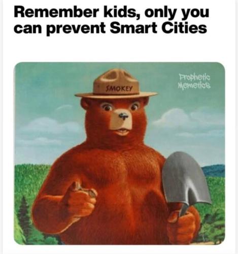 photo_2025-01-11_22-40-20