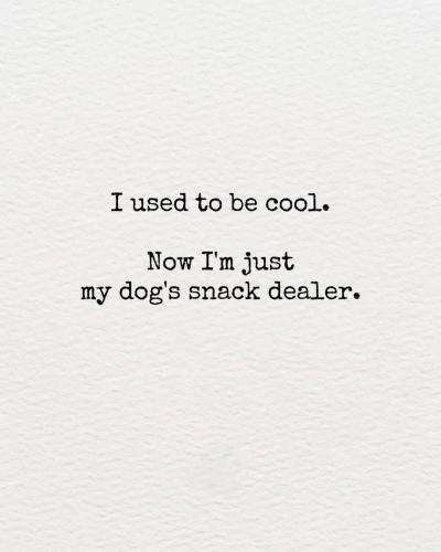 FB_IMG_1737297974117