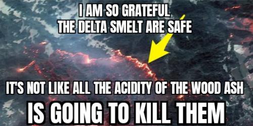 ZomboMeme 08012025034151