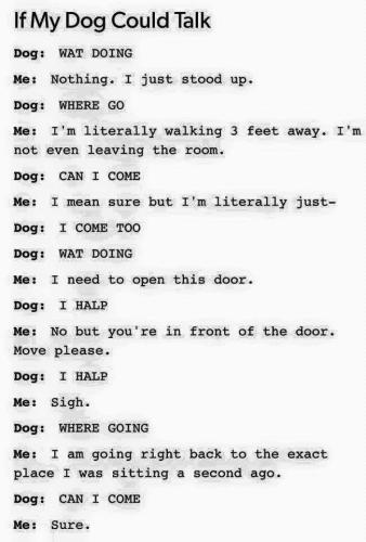 40682BB3-B906-4C10-A0BF-69CC9AAA394D