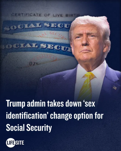 image_2025-01-28_065234964