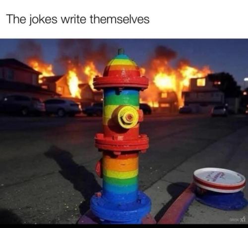 image_EA4B53B8-2B08-458A-A791-31F30FF42A3F