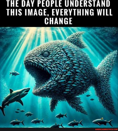 b6c5bf86357ac9c0d8e7e35f6767f74208261f734545cd6c13f3a674d895fb00_1