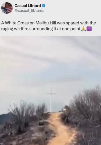 photo_2025-01-11_23-22-47