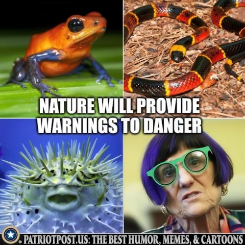 01JGQ4ASG494YXYXF5PKV892CB