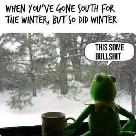 FB_IMG_1738234596893